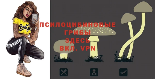 метамфетамин Козельск