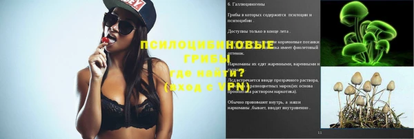 spice Костерёво