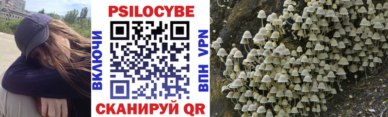 Псилоцибиновые грибы мицелий  Купить  Краснокамск 